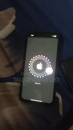 iPhone 12 Pro Max ( Display Only )