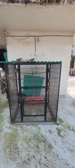 বিক্রির জন্য পাখির খাঁচা
