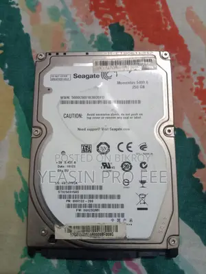 Hard Disk 250 GB