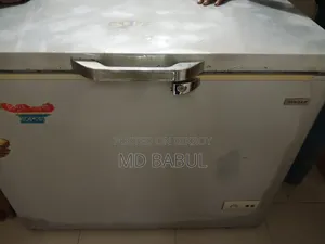 Singer Deep Freezer and LG Microwave Oven