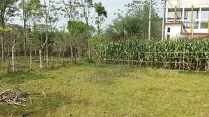 3.5 Katha Residential Land for Sale | Baganpara, Chuadanga