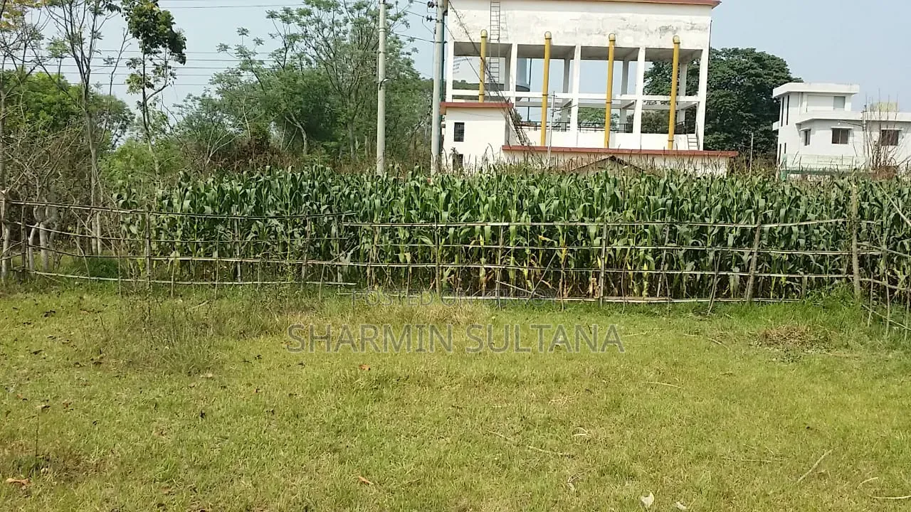 3.5 Katha Residential Land for Sale | Baganpara, Chuadanga