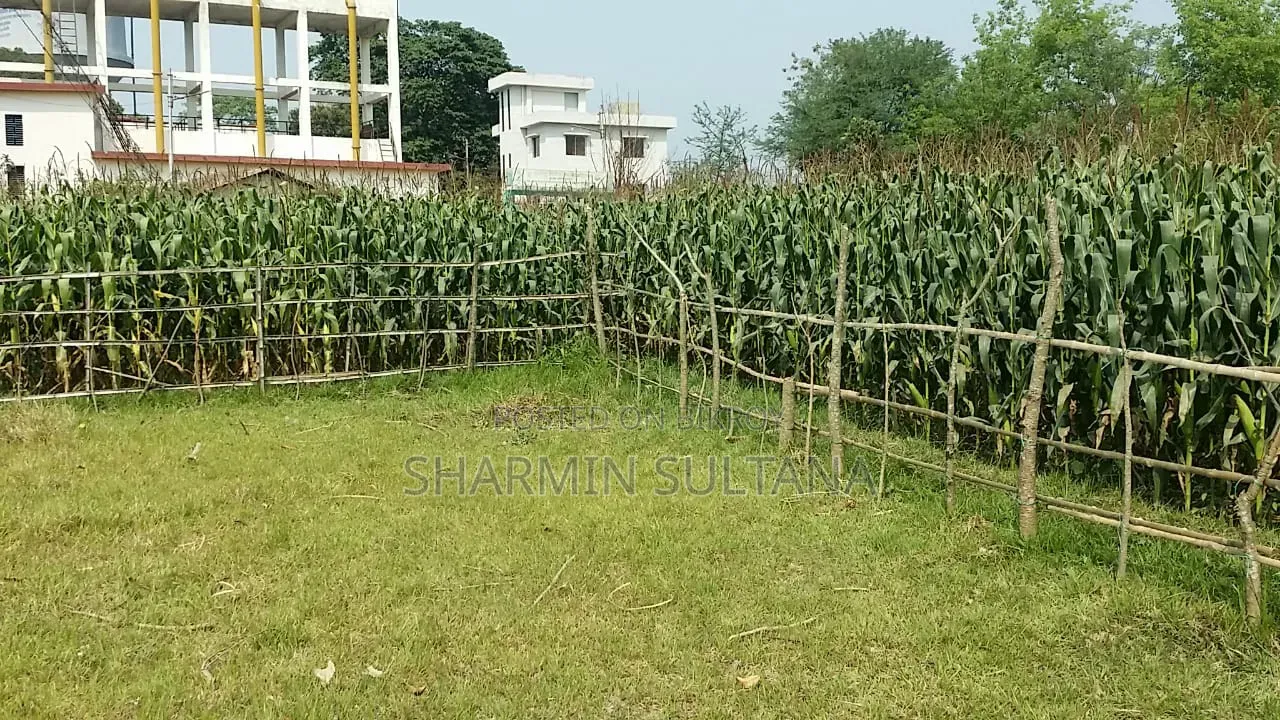 3.5 Katha Residential Land for Sale | Baganpara, Chuadanga