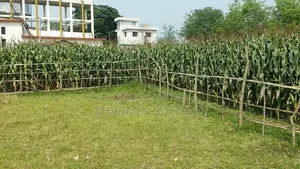 3.5 Katha Residential Land for Sale | Baganpara, Chuadanga