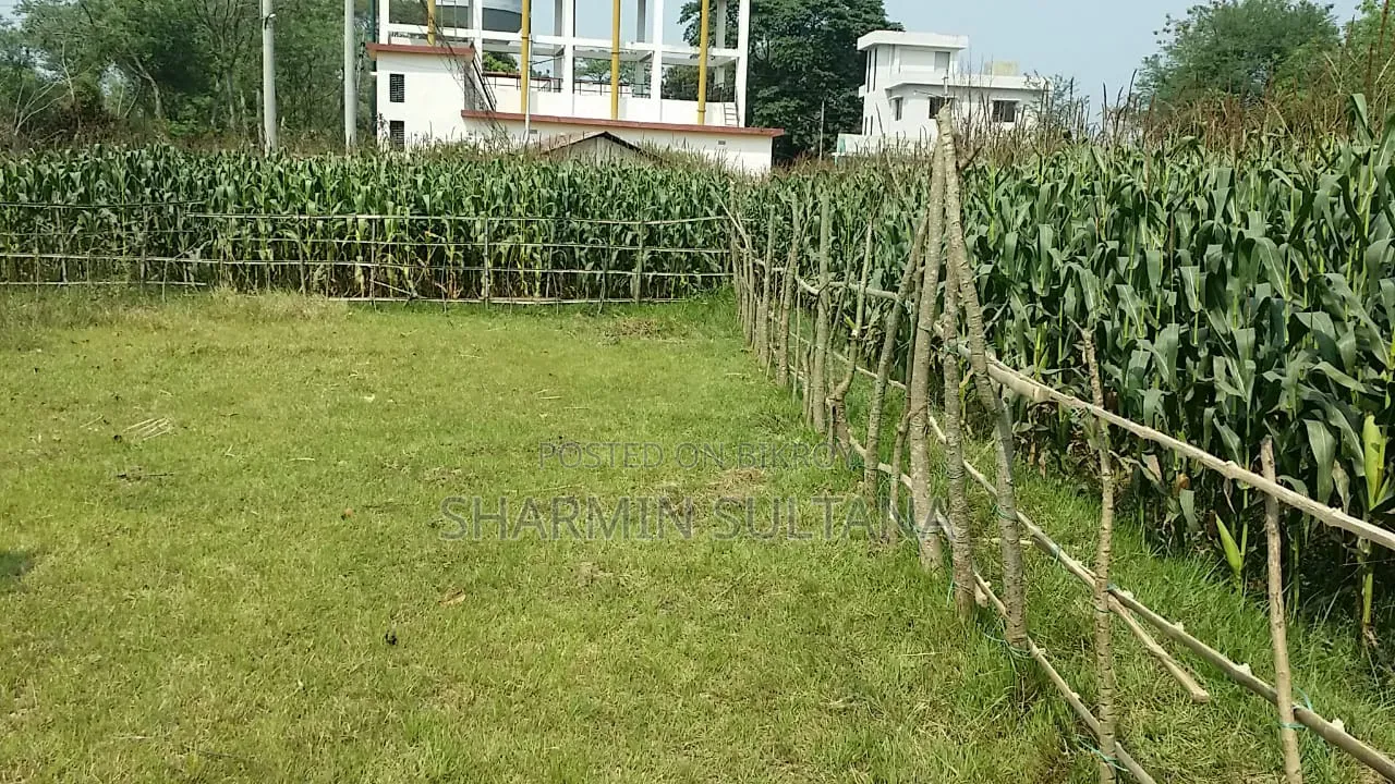3.5 Katha Residential Land for Sale | Baganpara, Chuadanga