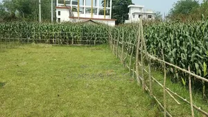 3.5 Katha Residential Land for Sale | Baganpara, Chuadanga