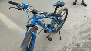 personal cycle
