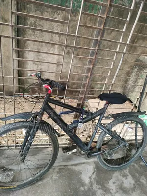 Bicycle for Sell