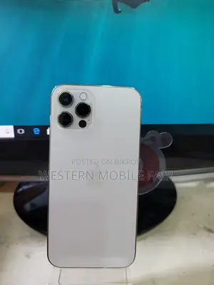 অ্যাপল আইফোন ১২ প্রো ম্যাক্স ২৫৬ জিবি সিলভার