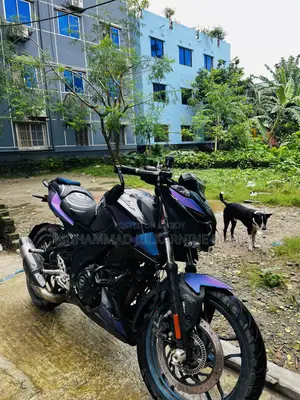 বাজাজ পালসার এন১৬০ ২০২৩ বেগুনি