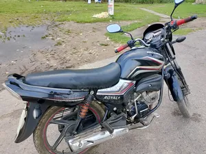 নিউ রানার রয়্যাল+ ভি২ ২০২২ ব্ল্যাক