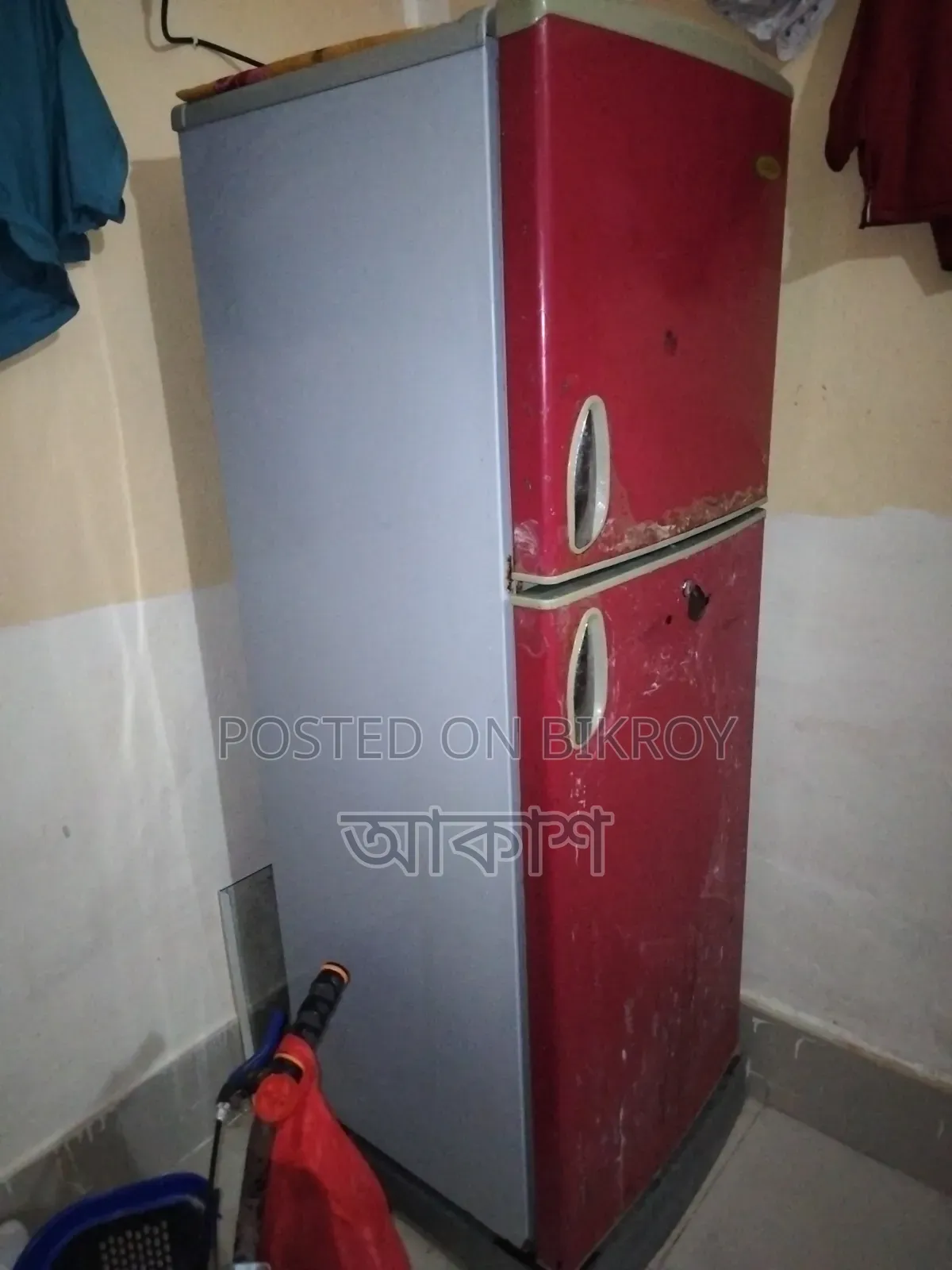 Singer 12 Ct
