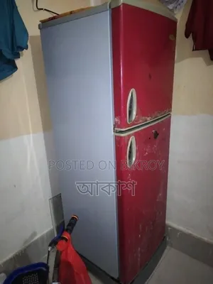 Singer 12 Ct