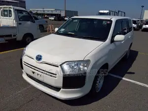 Toyota Probox 1.5 DX 2WD 2020 White
