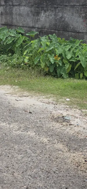 উত্তরা ৩য় পর্যায় ৩ কাঠা বরাদ্দকৃত প্লট