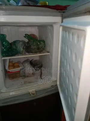 Singer Brand fridge