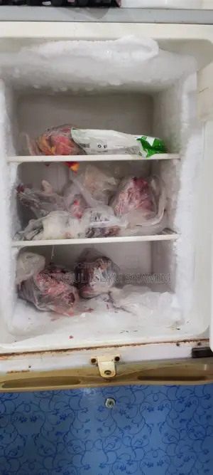 Used Fridge