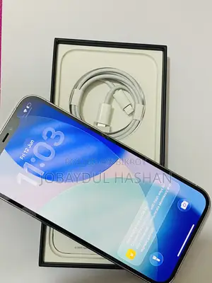 Apple iPhone 12 Pro Max 512 GB Silver