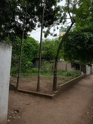Buy land at the price of a flat, build a house right now.