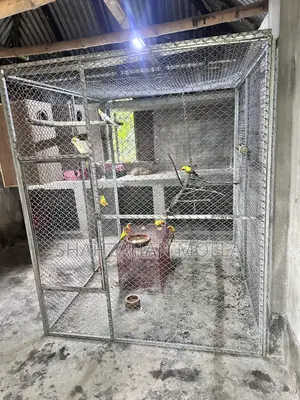 নাট সিস্টেম বড় খাঁচা বিক্রি হবে।