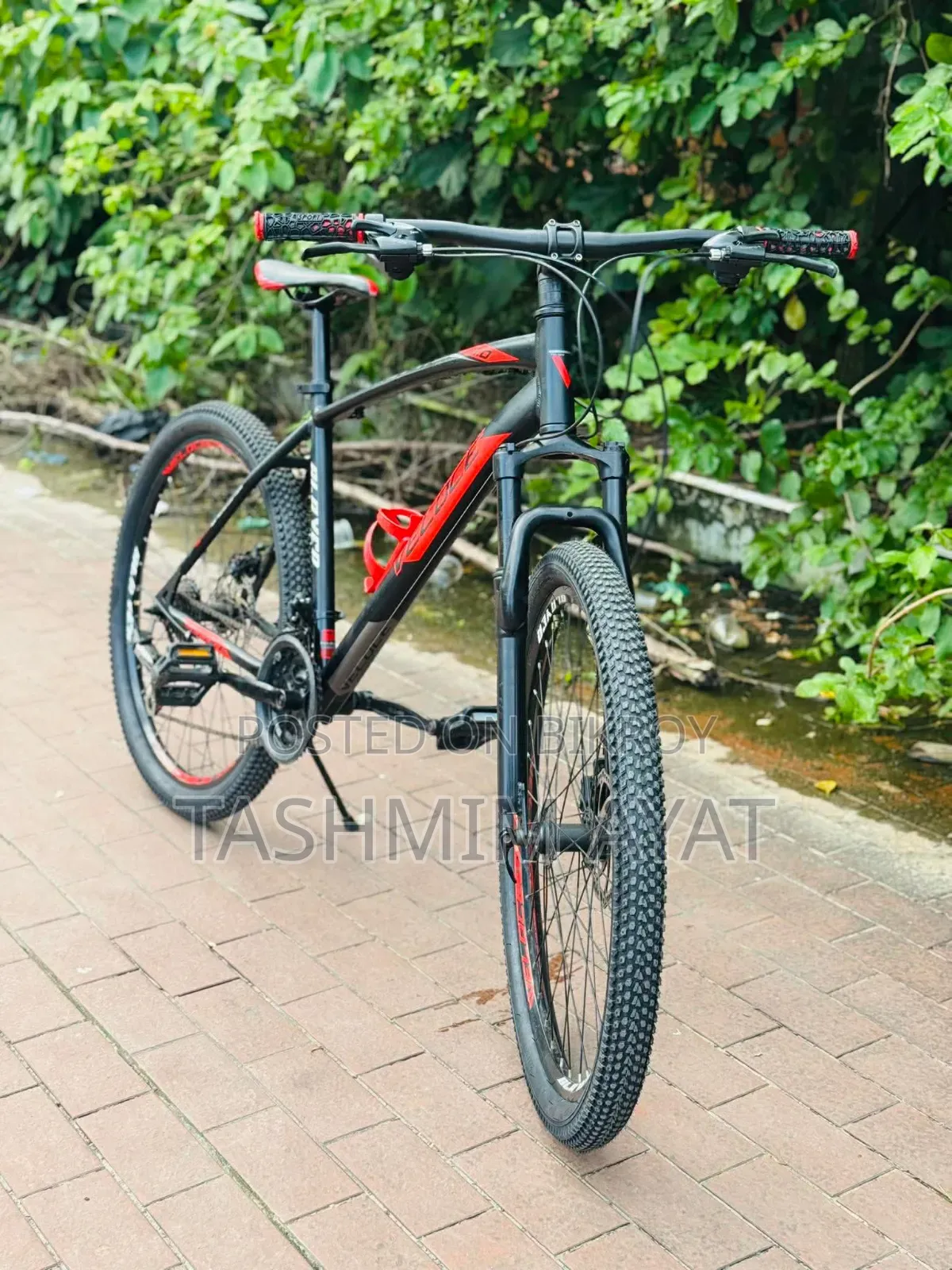 ভেলোচে বাইসাইকেল স্লেয়ার ১.০ আর্জেন্ট সেল