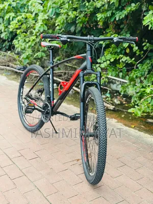 ভেলোচে বাইসাইকেল স্লেয়ার ১.০ আর্জেন্ট সেল
