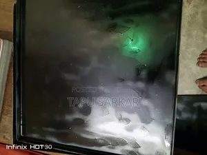 খাচার ট্রে ১৭*১৭