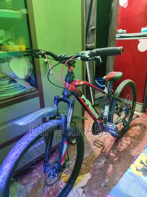 FINISS Bicycle