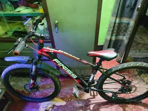 FINISS Bicycle