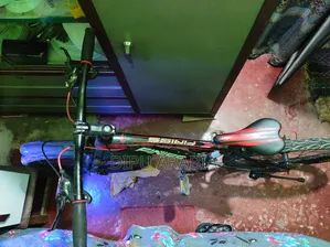 FINISS Bicycle