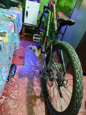FINISS Bicycle