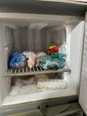 Fridge for sell