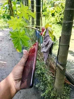 ভিভো ওয়াই১১ ৩২ জিবি লাল
