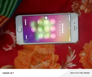 অ্যাপল আইফোন ৬ ১৬ জিবি ব্রোঞ্জ