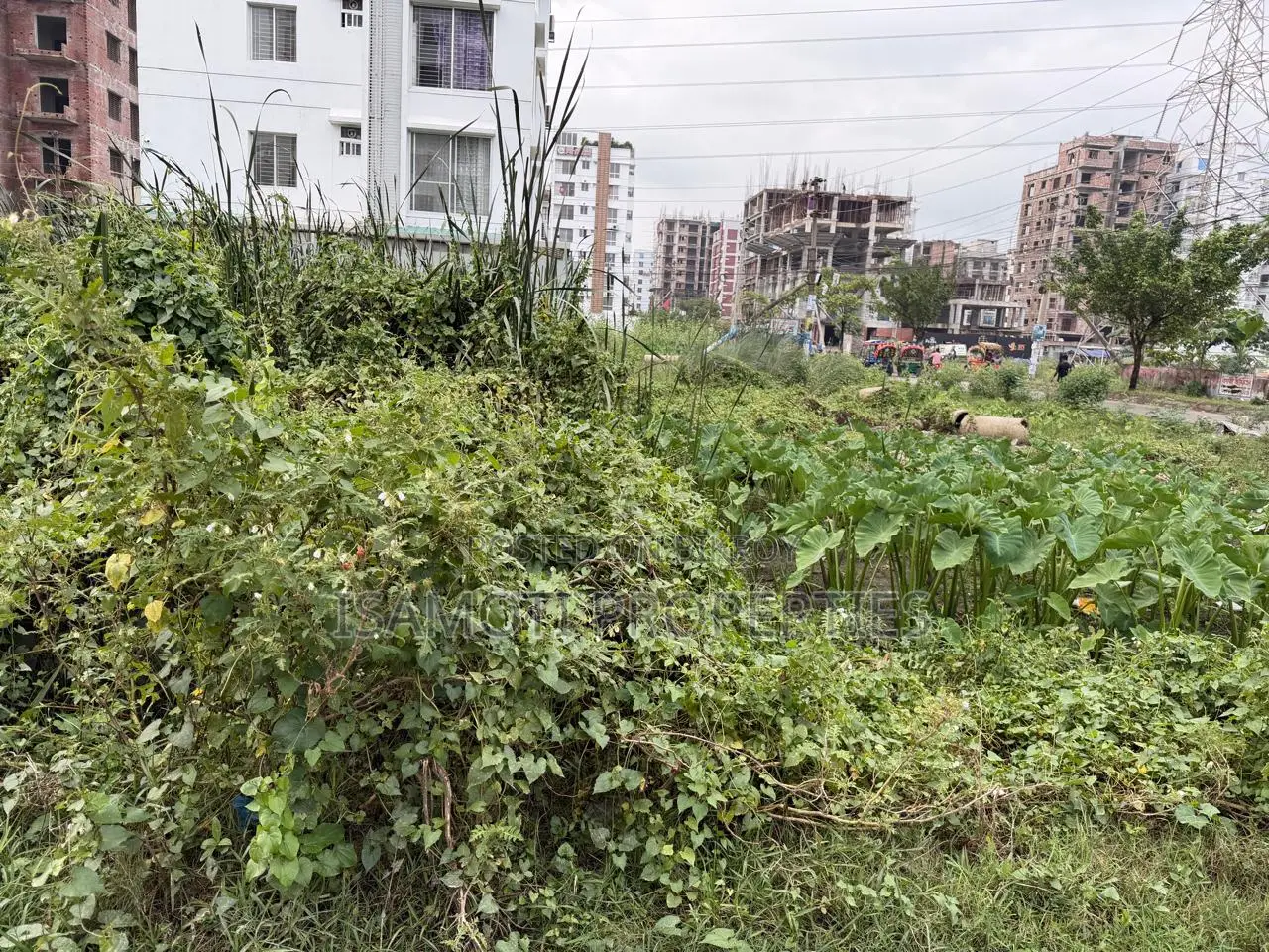South Facing 3.5 Katha Plot for Sale in Aftab Nagar