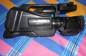 প্যানাসনিক এইচ২