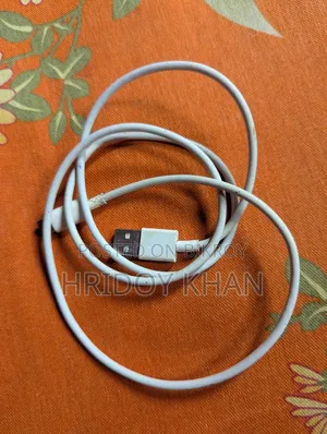 রিয়েলমি ৩৩ডব্লিউ চার্জার