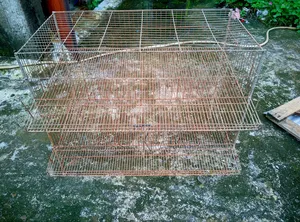কয়েল খাঁচা