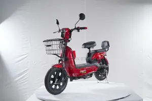 New Spark Ride Owl Eagle 2026 Gold