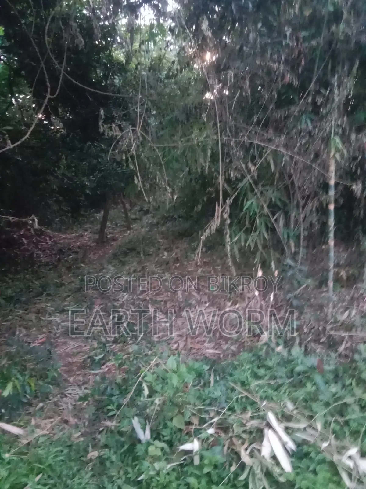 Urgent Land for Sale