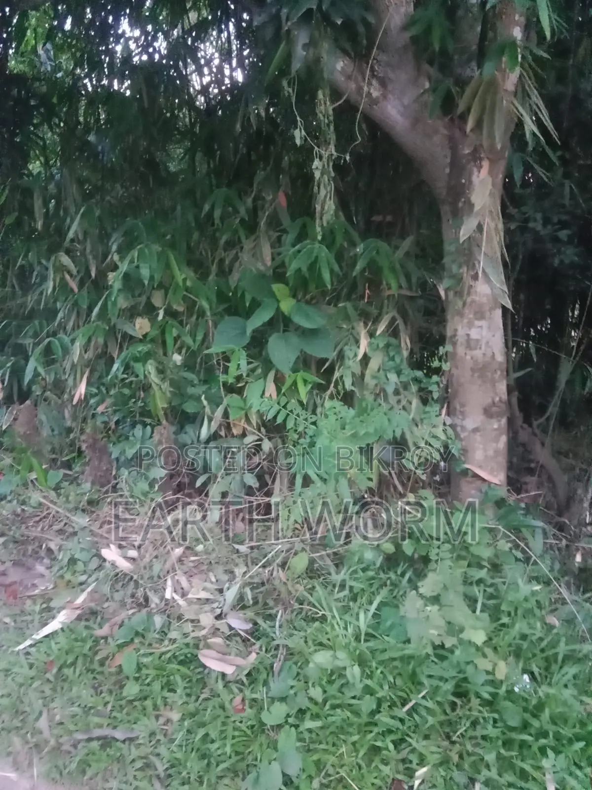 Urgent Land for Sale