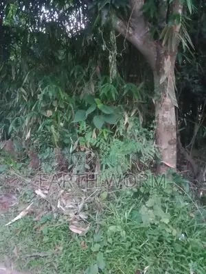 Urgent Land for Sale