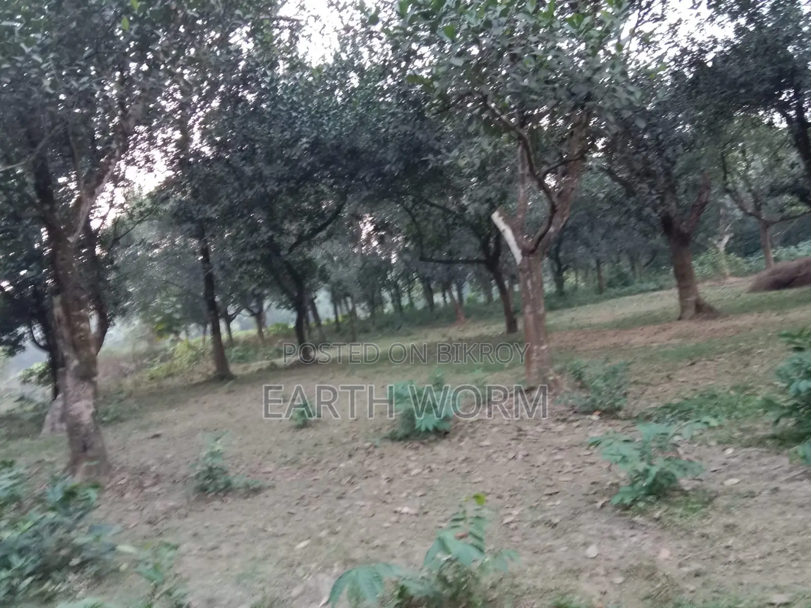 Urgent Land for Sale