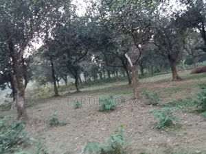 Urgent Land for Sale