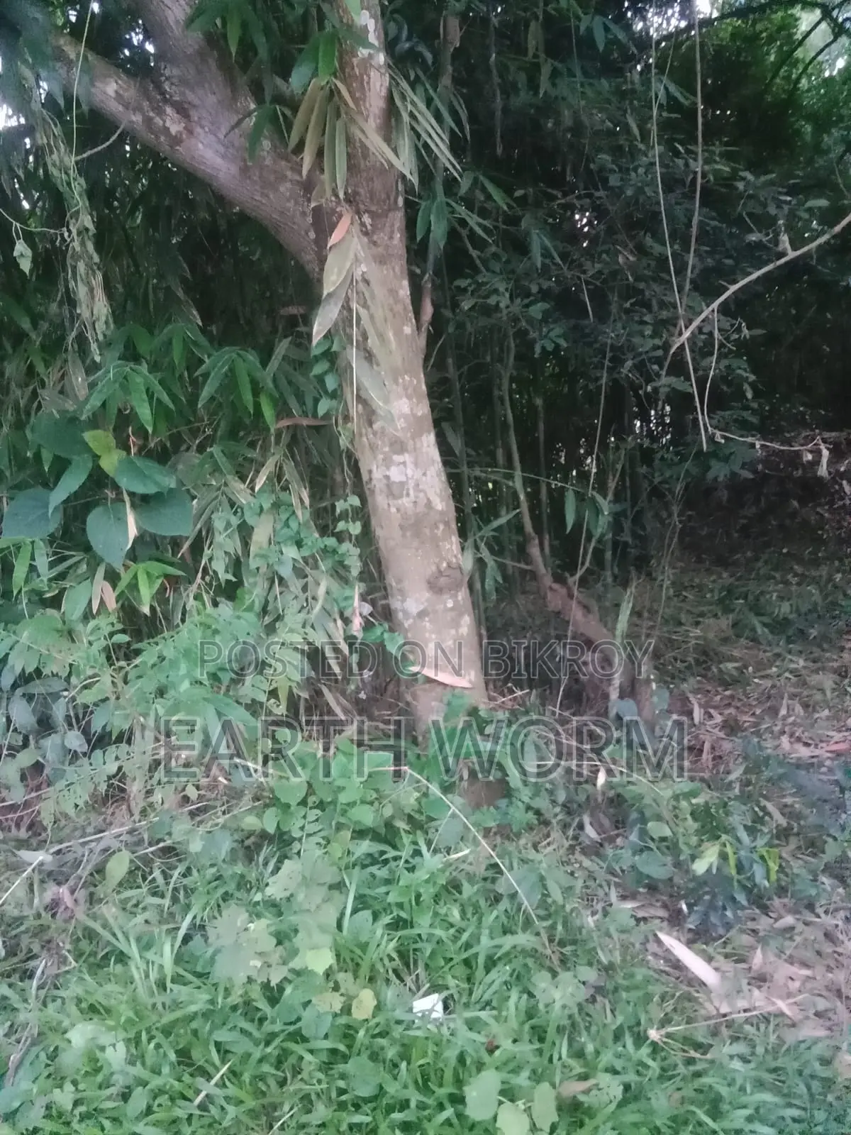 Urgent Land for Sale