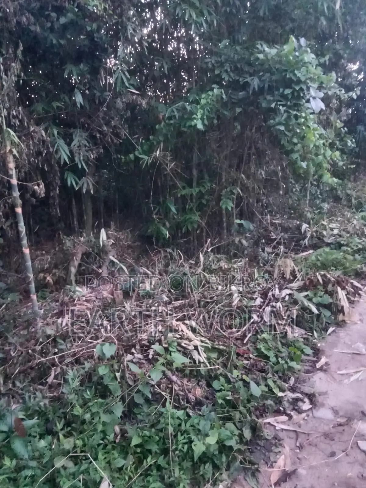 Urgent Land for Sale
