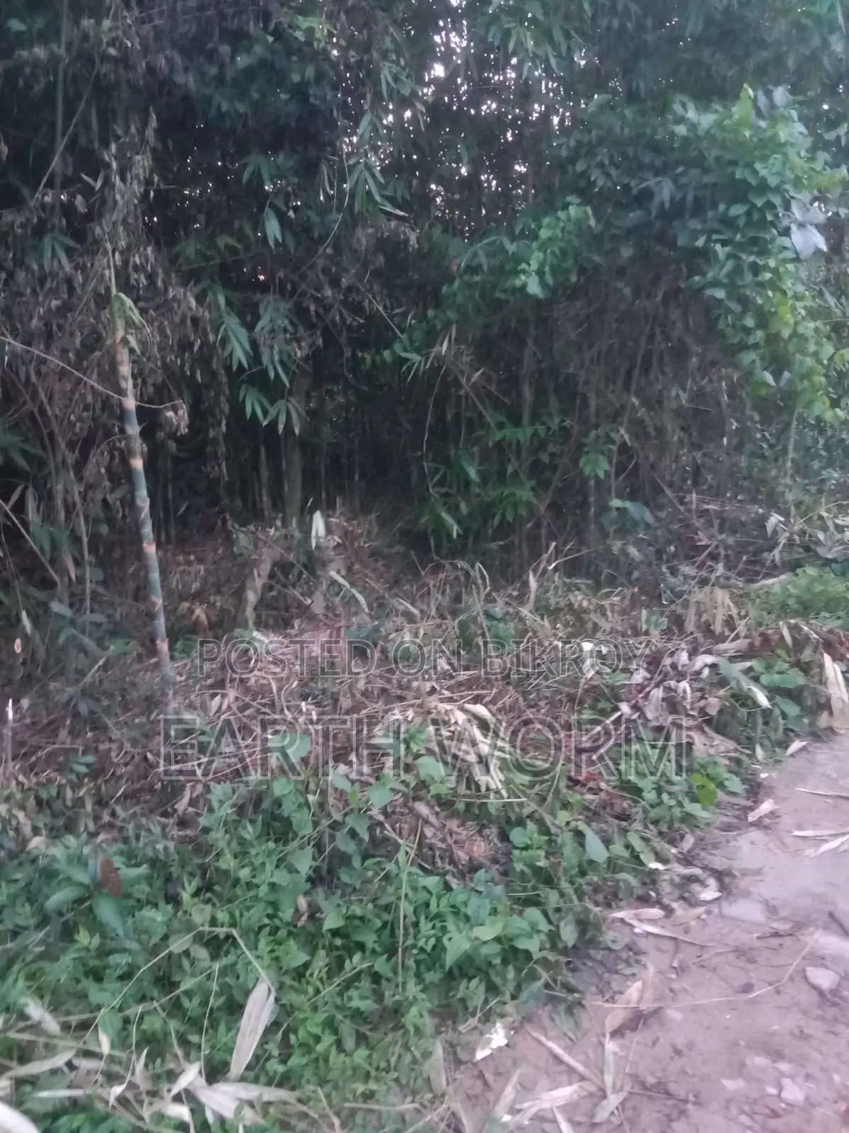 Urgent Land for Sale