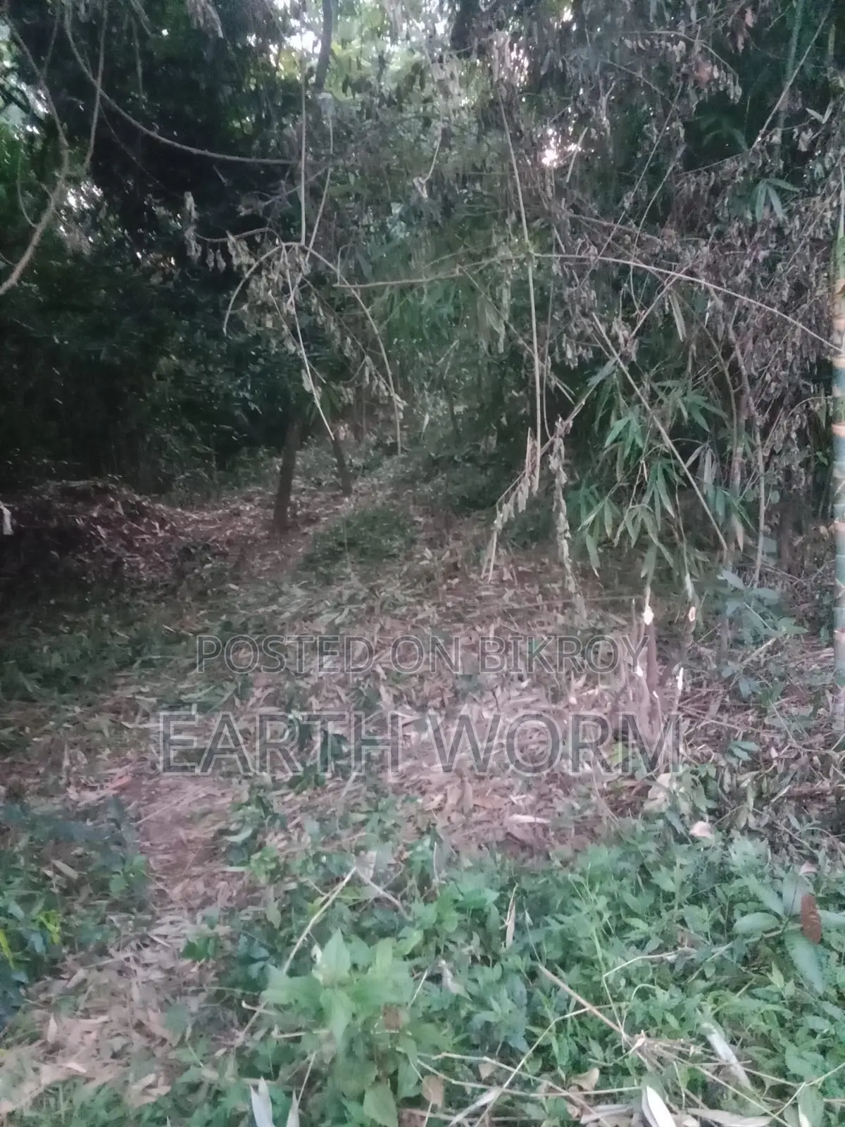 Urgent Land for Sale