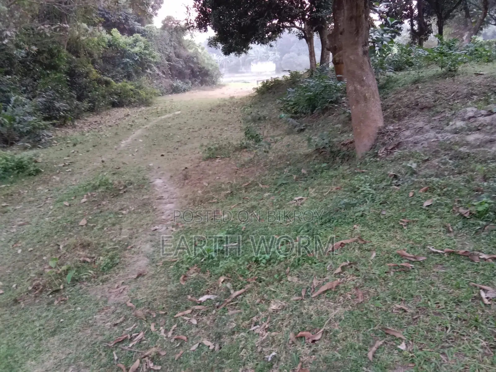 Urgent Land for Sale