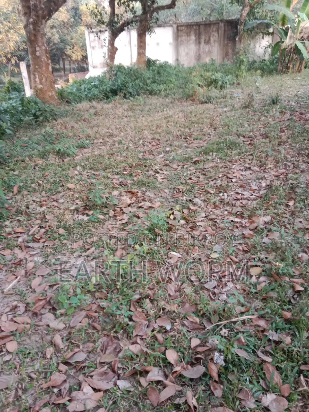 Urgent Land for Sale